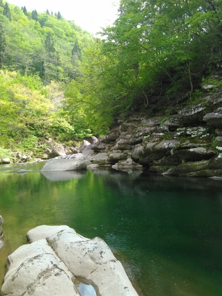 d0288435_23172607.jpg