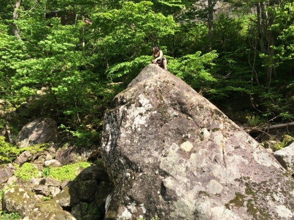 d0288435_23182640.jpg