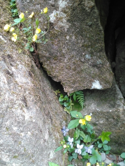 d0288435_23185272.jpg