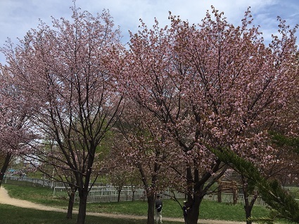 c0227640_07422427.jpg