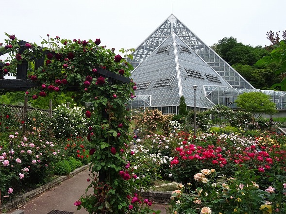 b0299042_14393999.jpg