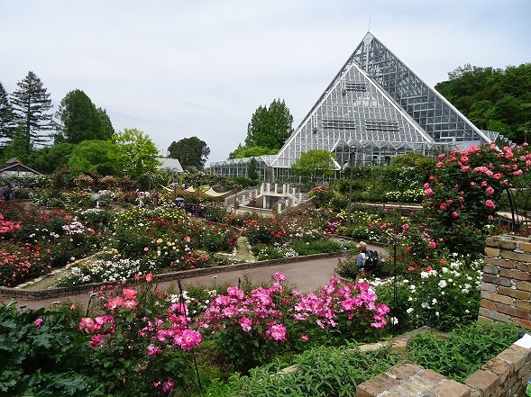 b0299042_14405823.jpg