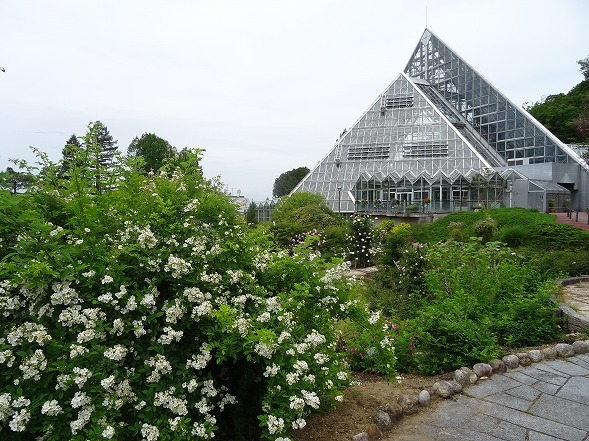 b0299042_14413985.jpg