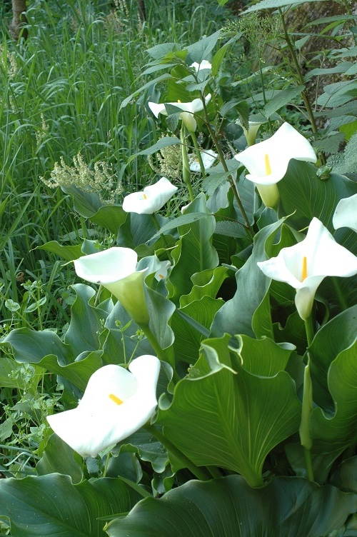 e0193247_20101081.jpg