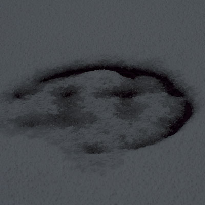 d0342652_3231881.jpg