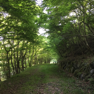 f0226152_10455057.jpg