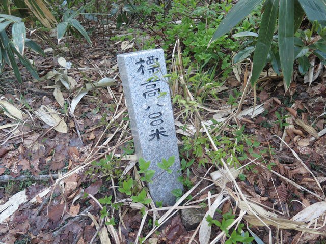 c0116856_20533257.jpg