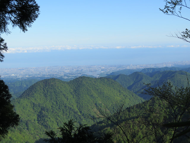 c0116856_20534421.jpg