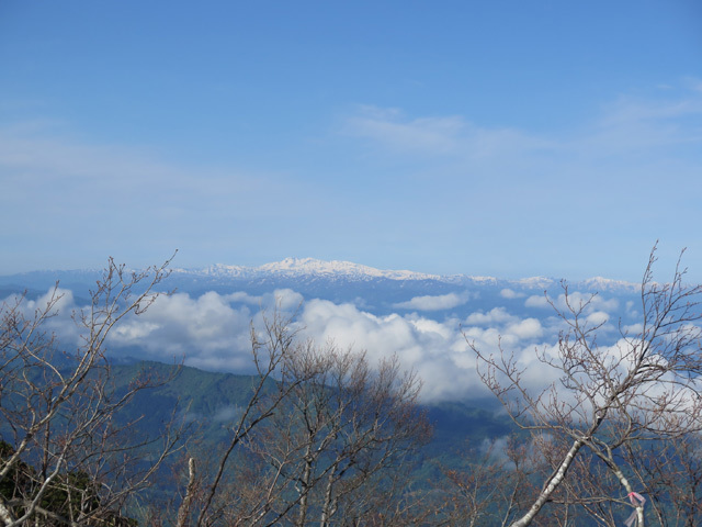 c0116856_20542486.jpg