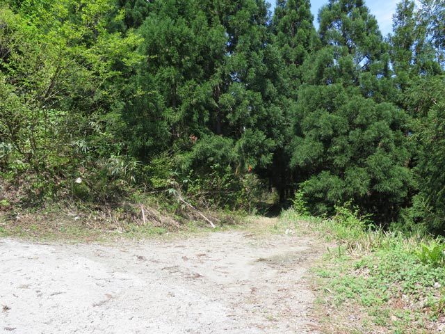 c0116856_21041241.jpg