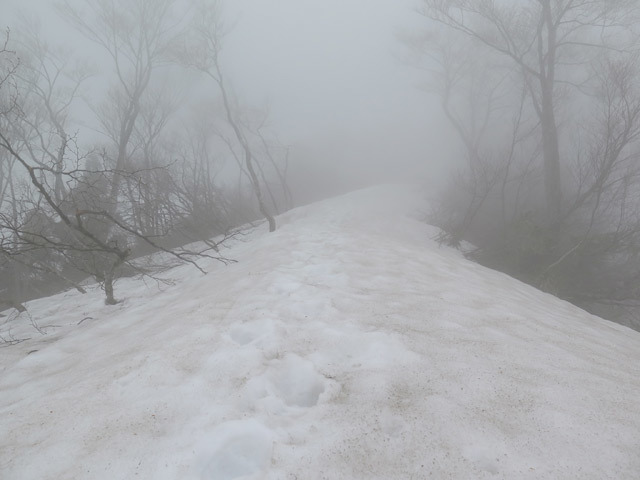 c0116856_21043835.jpg