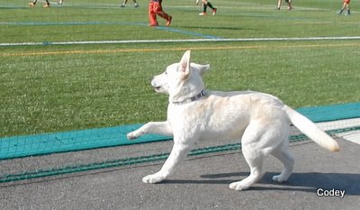 e0364056_1114138.jpg