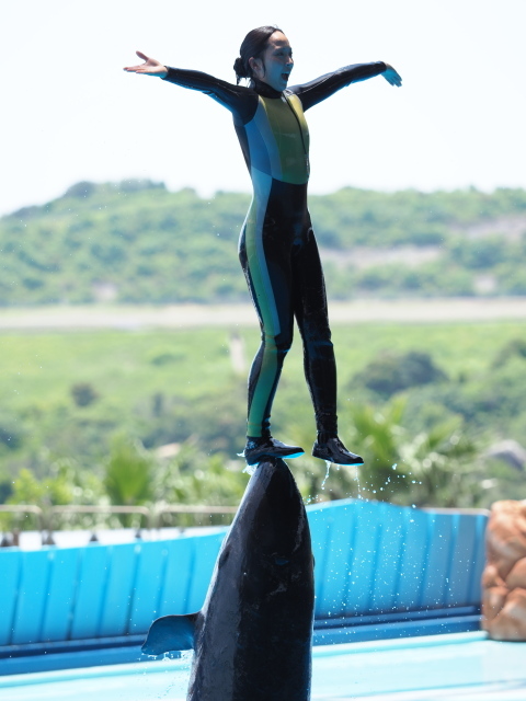 c0186760_13560688.jpg