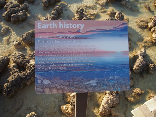 c0351060_20164654.jpg