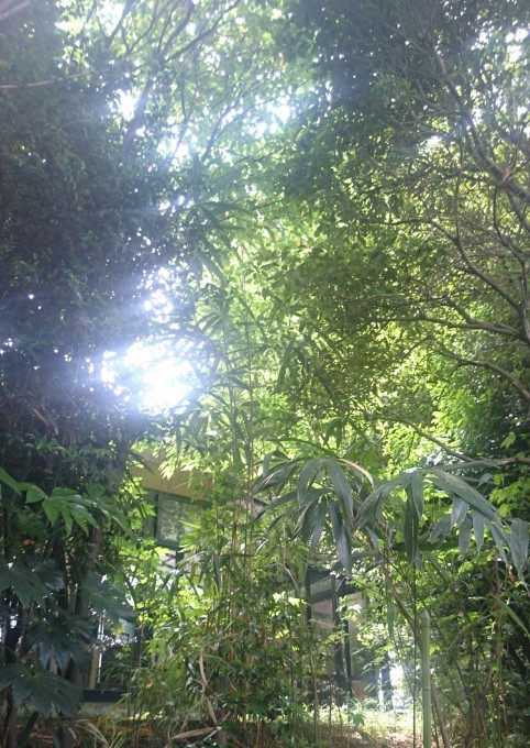 b0304662_22060705.jpg