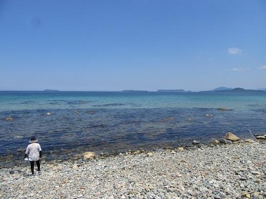 f0113862_1943483.jpg