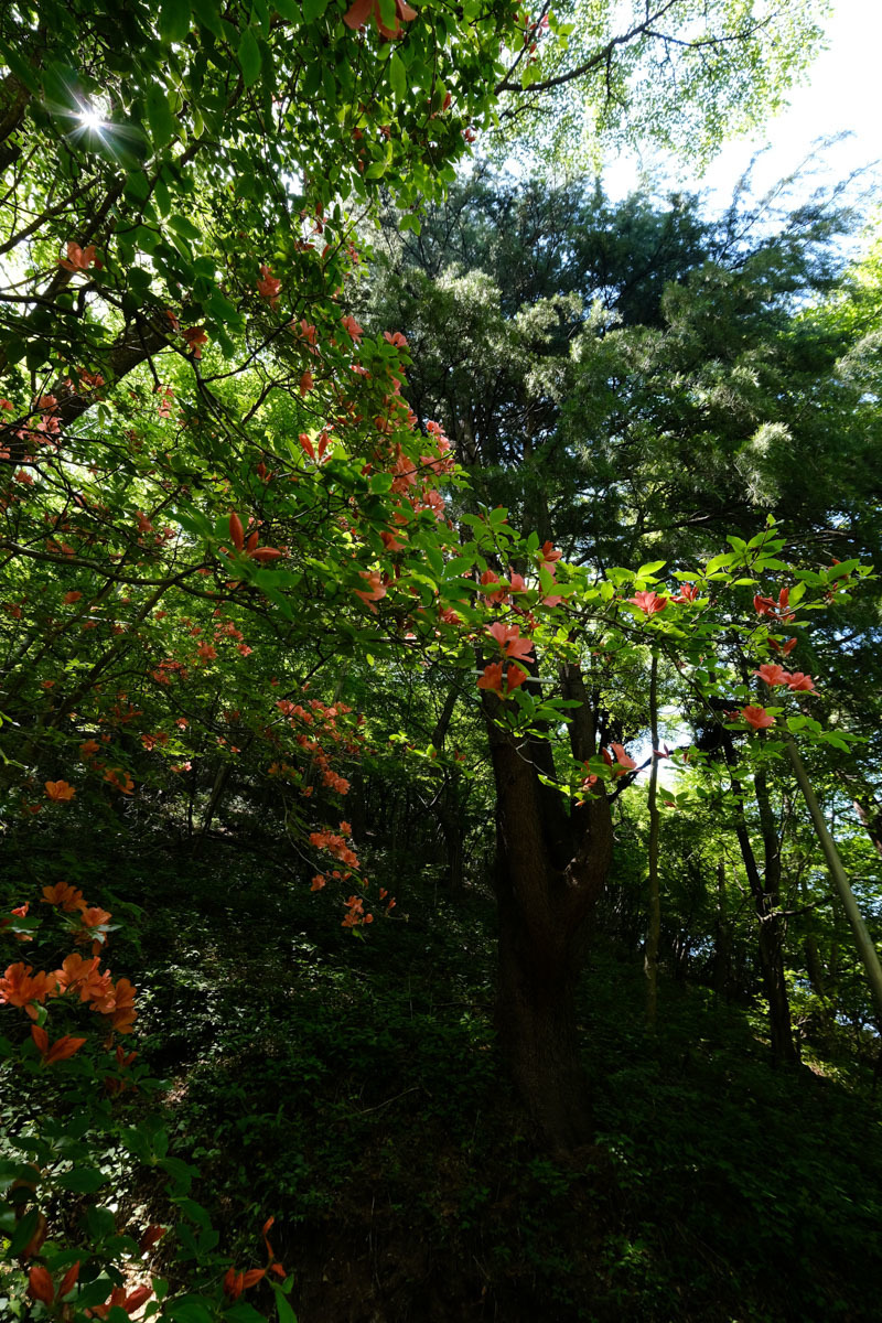 c0084666_21094740.jpg