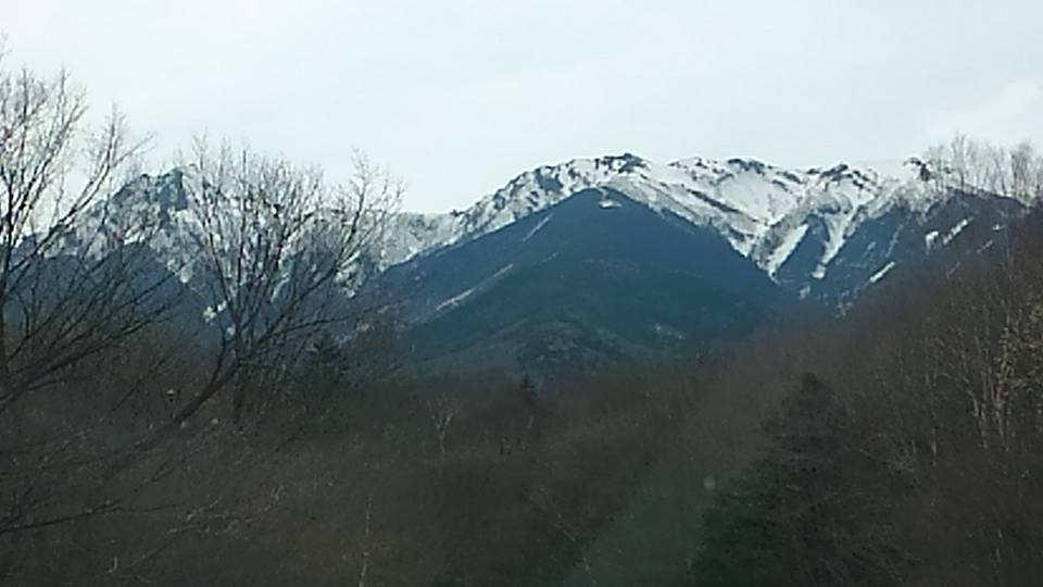 a0077673_22341435.jpg