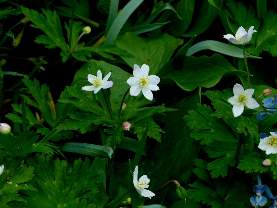 d0084473_20271969.jpg