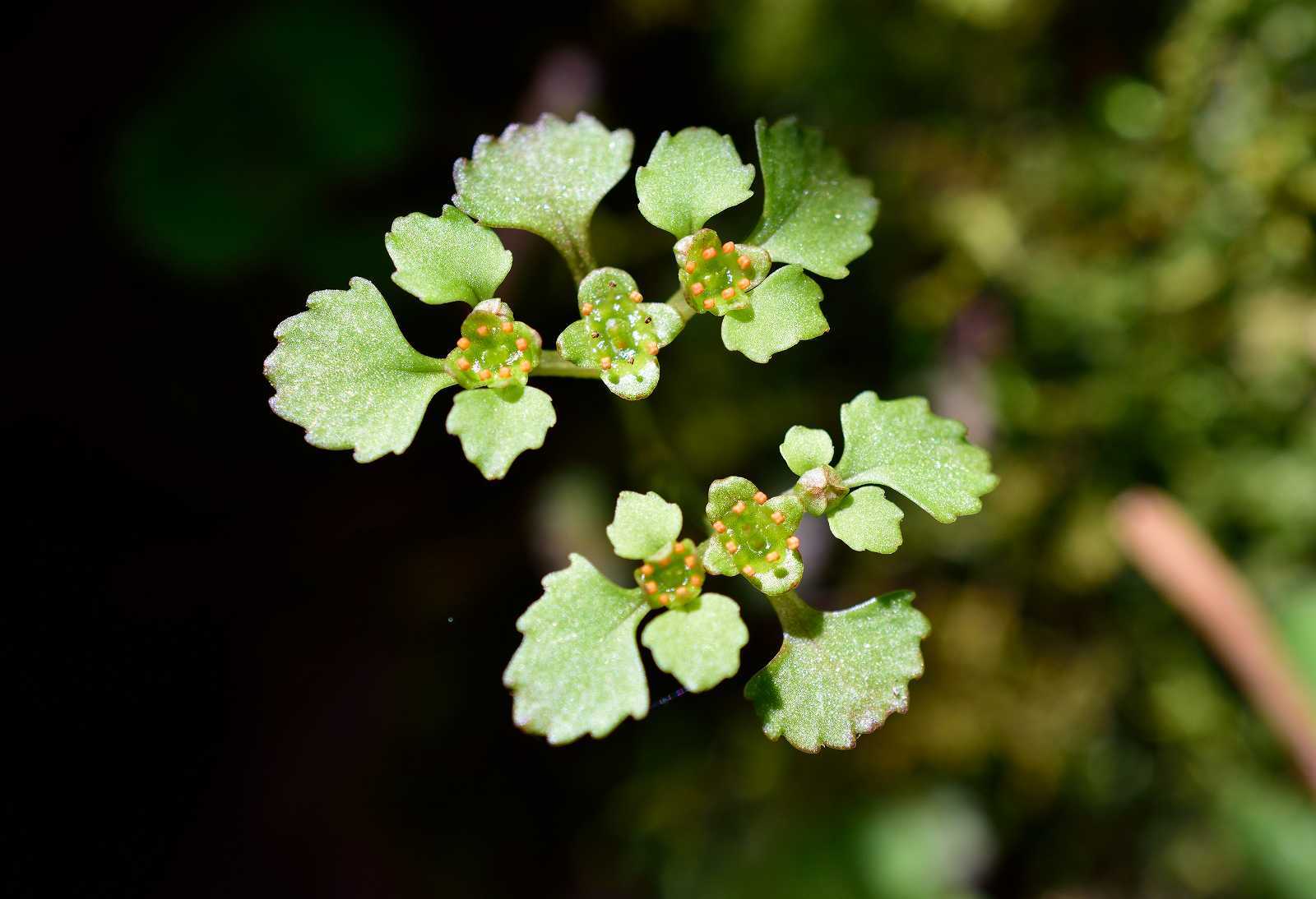 d0328977_14041589.jpg