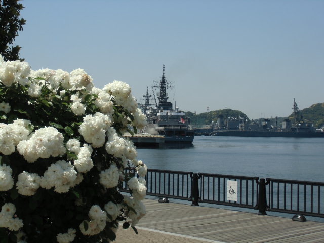e0114588_16393324.jpg