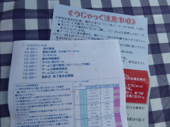 b0321595_17395002.jpg