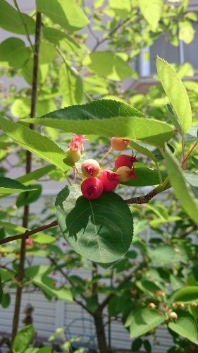 e0351303_22114623.jpg