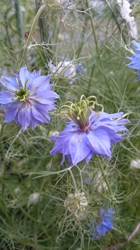 e0351303_22232883.jpg
