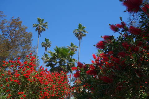 b0069604_21574928.jpg
