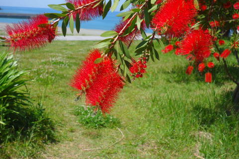b0069604_21575924.jpg