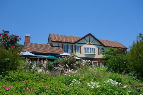 b0069604_21582219.jpg