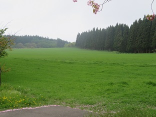 f0325309_22173316.jpg