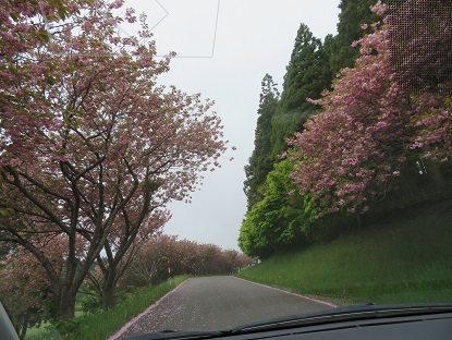 f0325309_22183712.jpg