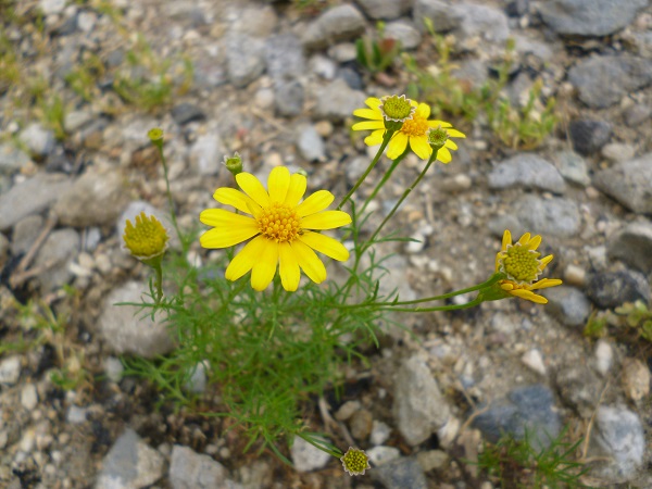 f0228619_9334475.jpg