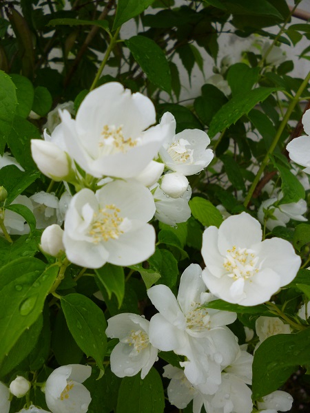 f0228619_9373487.jpg