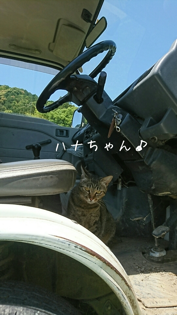 b0187620_18012283.jpg