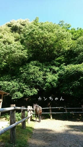 b0187620_19001159.jpg