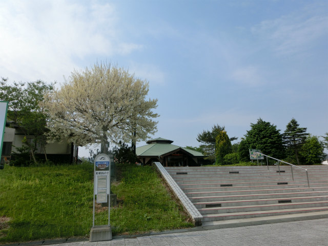 a0206621_11581504.jpg