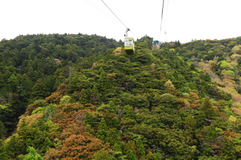 f0209122_09243167.jpg