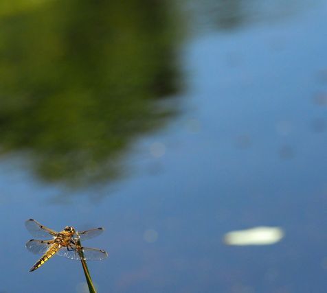 c0369423_22384478.jpg