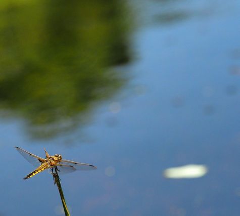 c0369423_22384761.jpg