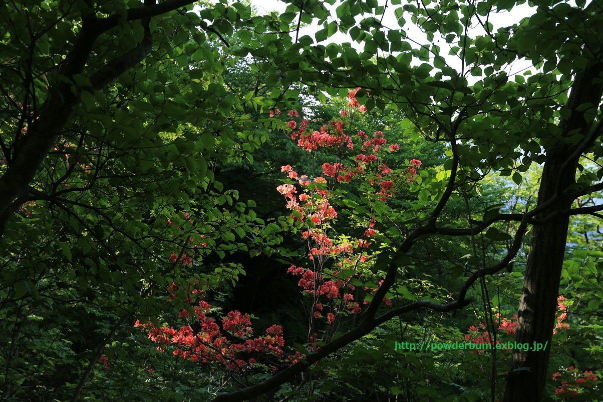 b0062024_022987.jpg
