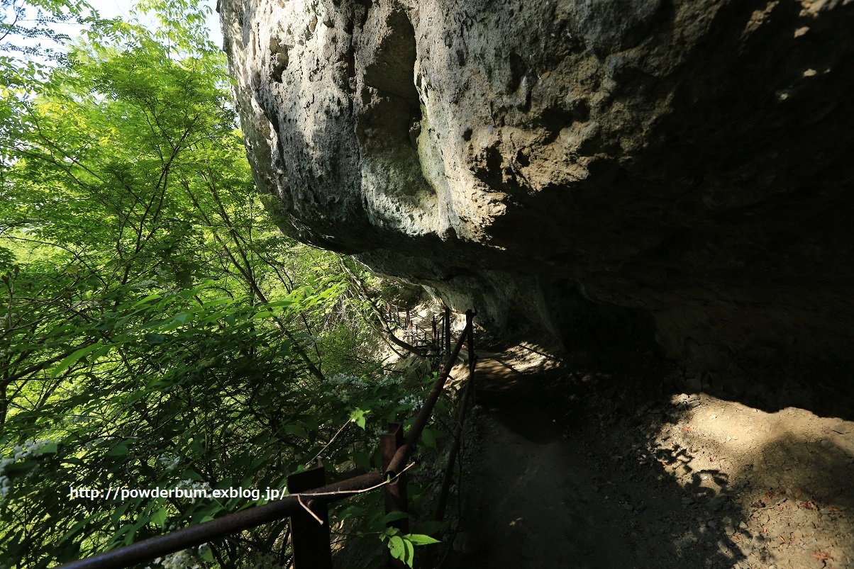 b0062024_025747.jpg