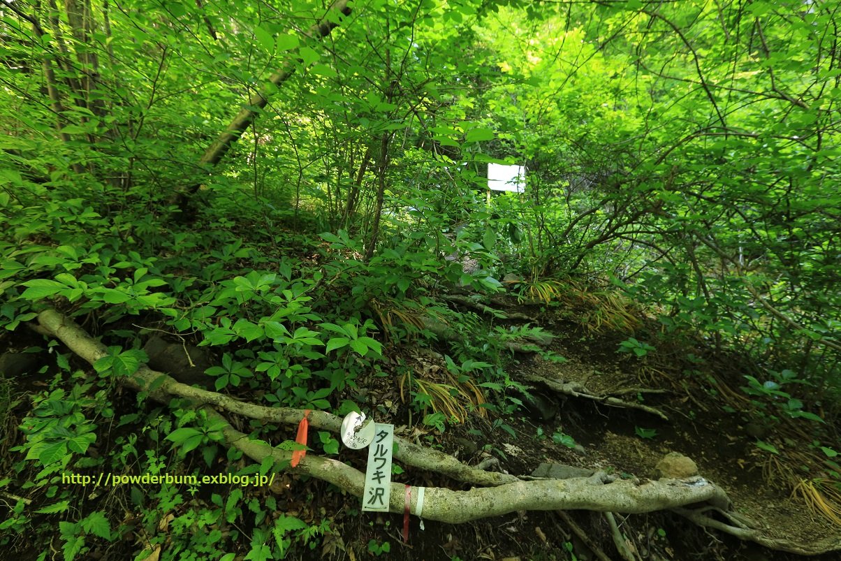 b0062024_071775.jpg