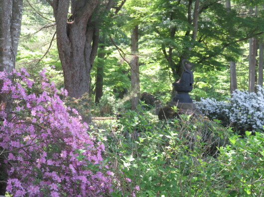 f0341233_16480110.jpg
