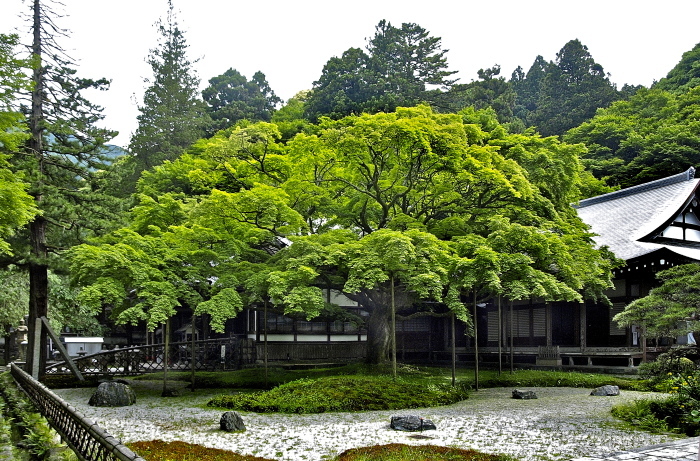 f0315034_16284771.jpg