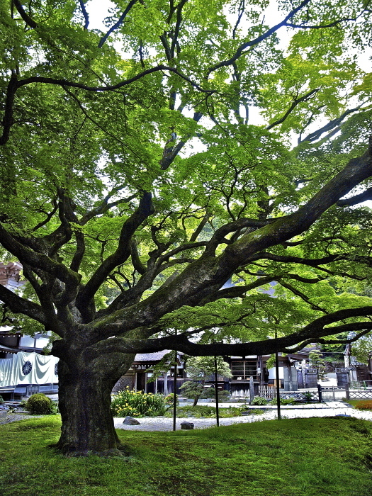 f0315034_16294931.jpg
