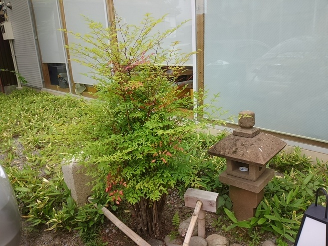 d0244839_17574296.jpg