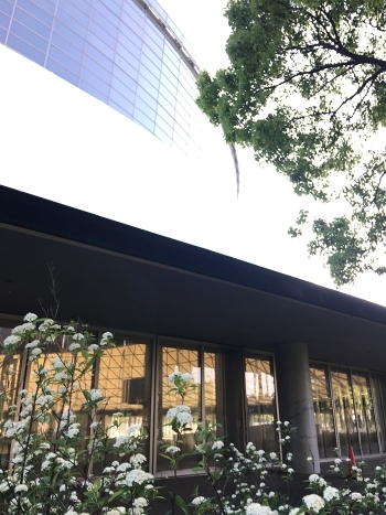 c0281841_14293116.jpg