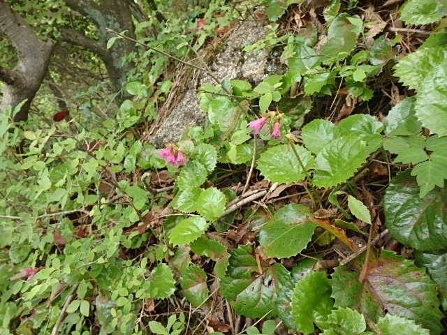 f0334143_8225065.jpg